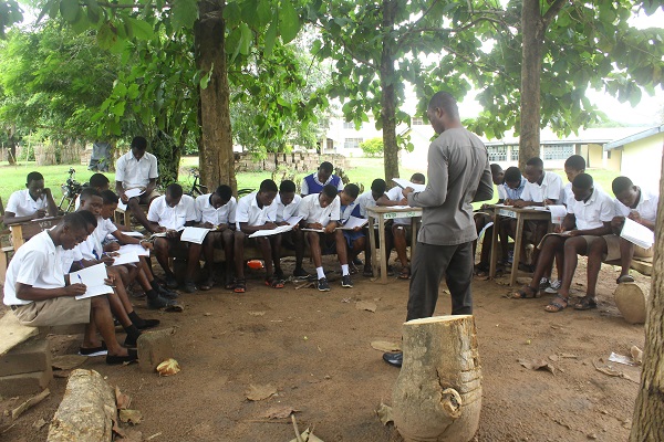 A class under trees