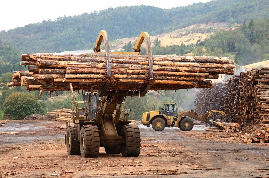 Ghana ready to implement legal timber agreement 