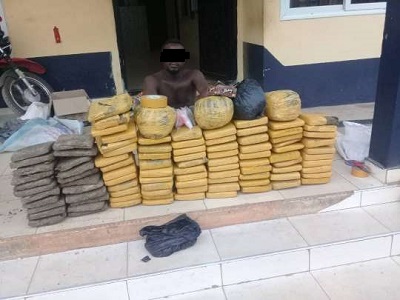 Landlord busted with 100 parcels of 'wee'
