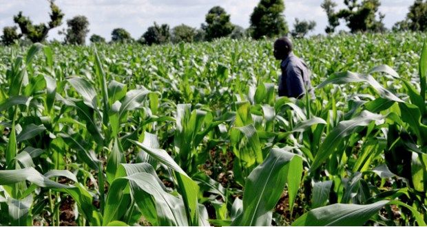 NUGS congratulates farmers
