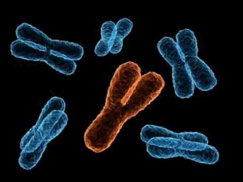 Scientists say Y chromosome is degenerating rapidly