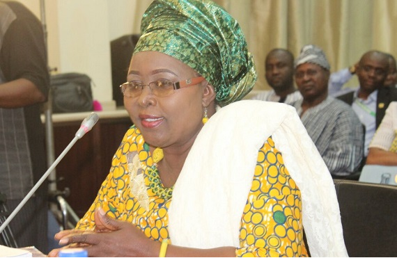  Hajia Alima Mahama, Local Government and Rural Development Minister