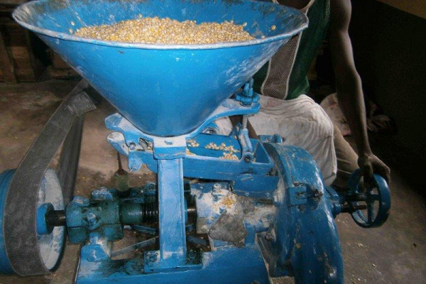 Consumers of maize meals at risk of cancer