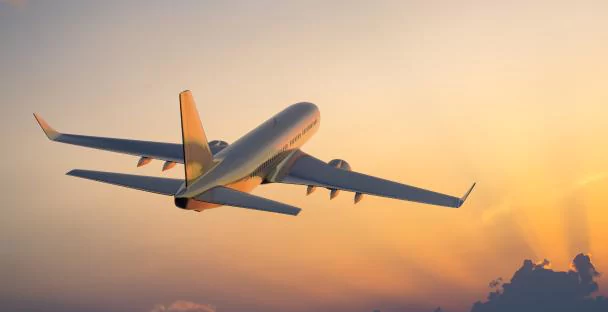 Domestic airlines: From multiple players to monopoly