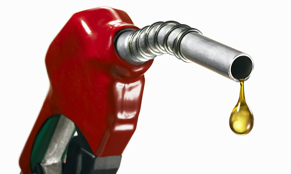 Minority urges government to scrap special petroleum tax