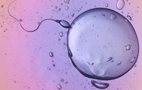 Study reveals main reason why women are freezing their eggs