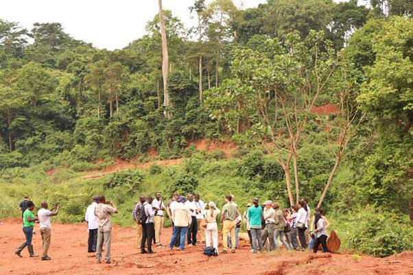 Sustainable cocoa farming crucial to protect Ghana's forest