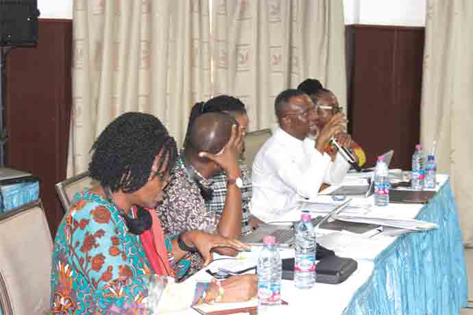 Mr Tetteh Homerku of the TWN-Africa  contributing during the session 