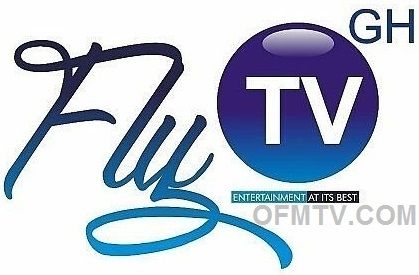 Multichoice Fly TV injunction