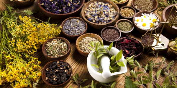 Be cautious about herbal medicines for children — Parents advised
