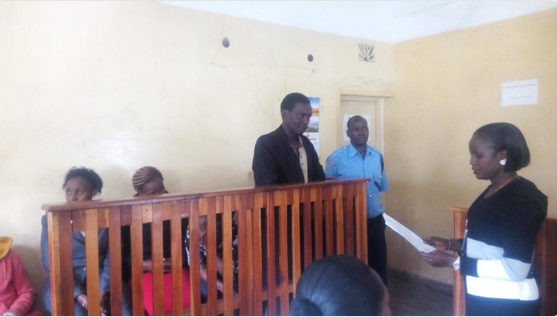 James Kimani pleads guilty to charges of slaughtering and selling cat meat in samosas