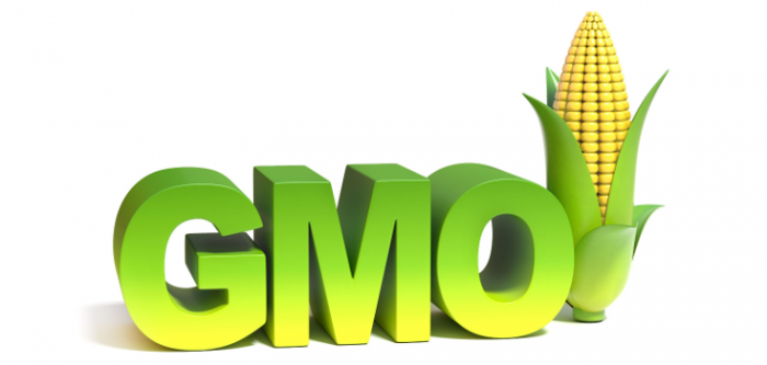 GMO commercialization case goes to Appeals Court