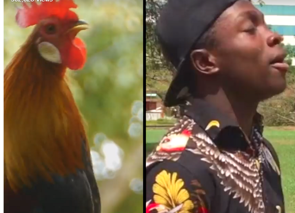 Watch: Ghana teenage, 19, can imitate just about any animal sound