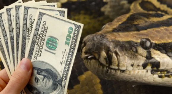 Nigeria: Official makes U-turn, says $100,000 ‘collected by superior’ and not snake