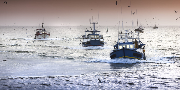 Fishing vessels record zero catch