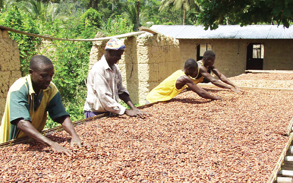 Tonnes of cocoa, foodstuffs locked-up in Agona East