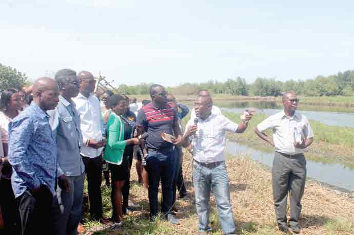 Environment Ministry to include traditional rulers on Densu committee