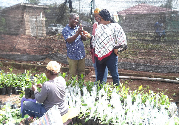Madam Klenam (right) inspecting a cashew nursery during the visit