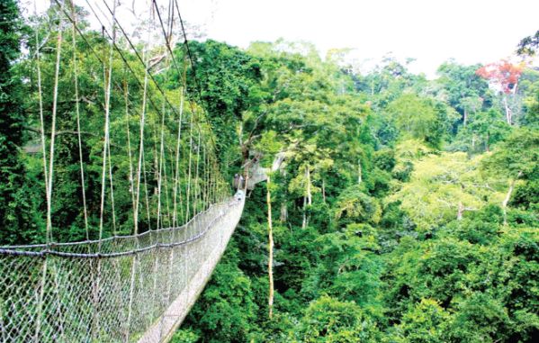 The development of tourism sites in the country has the potential to make the sector the leading foreign exchange earner.