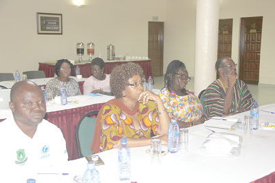 Dr Edward Salifu Mahama (inset), Principal Coordinator, Ghana Inclusive Development Research Network (GIDRN), addressing participants in the conference. Picture: EDNA ADU-SERWAA
