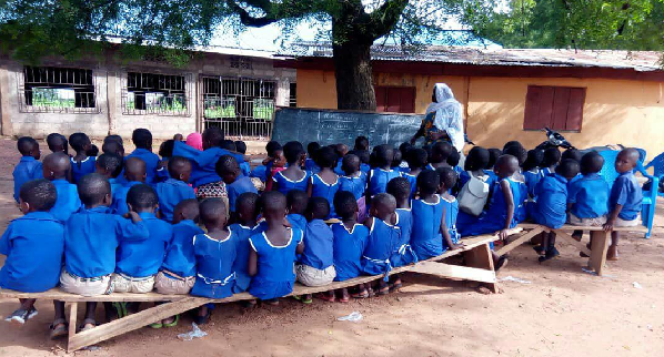Some of the pupils  studying under a tree
