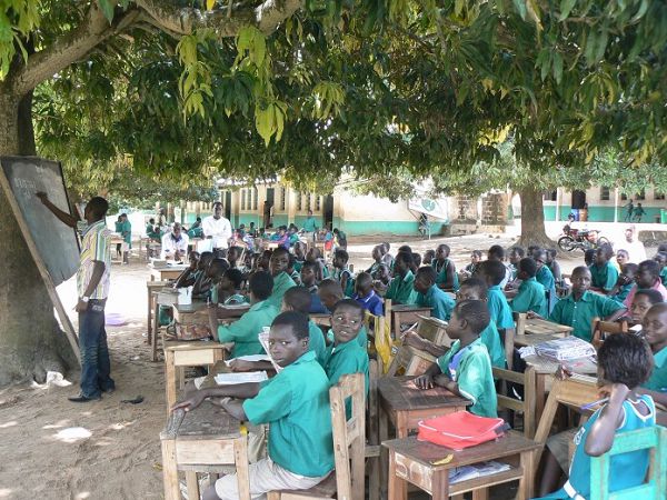 some students study under trees