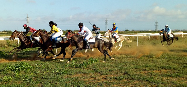 An action from the Novices competition which was won by African Queen 