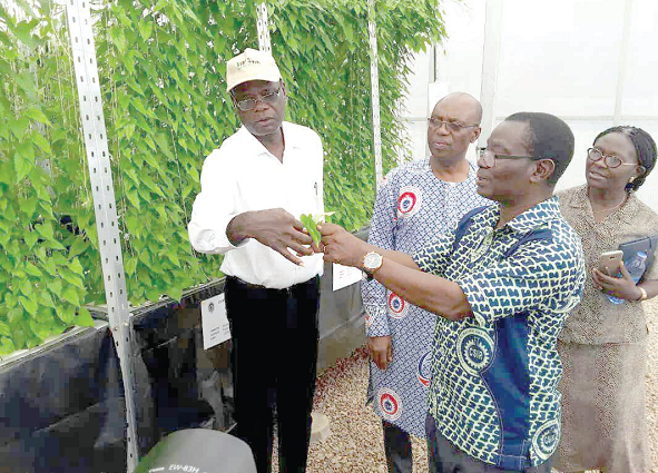 Dr Chamba (arrowed), holding a seed yam while explaining a point to Dr Nutsugah (2nd left), Dr Maroya (left) and Dr Beatrice Mghewi, a seed system specialist from the IITA