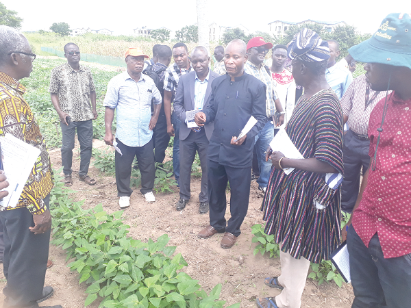 •Professor Richard Akromah,a Senior lecturer at KNUST (third right) and members of the National Varietal Release and Registration Committee inspecting the cowpea variety  