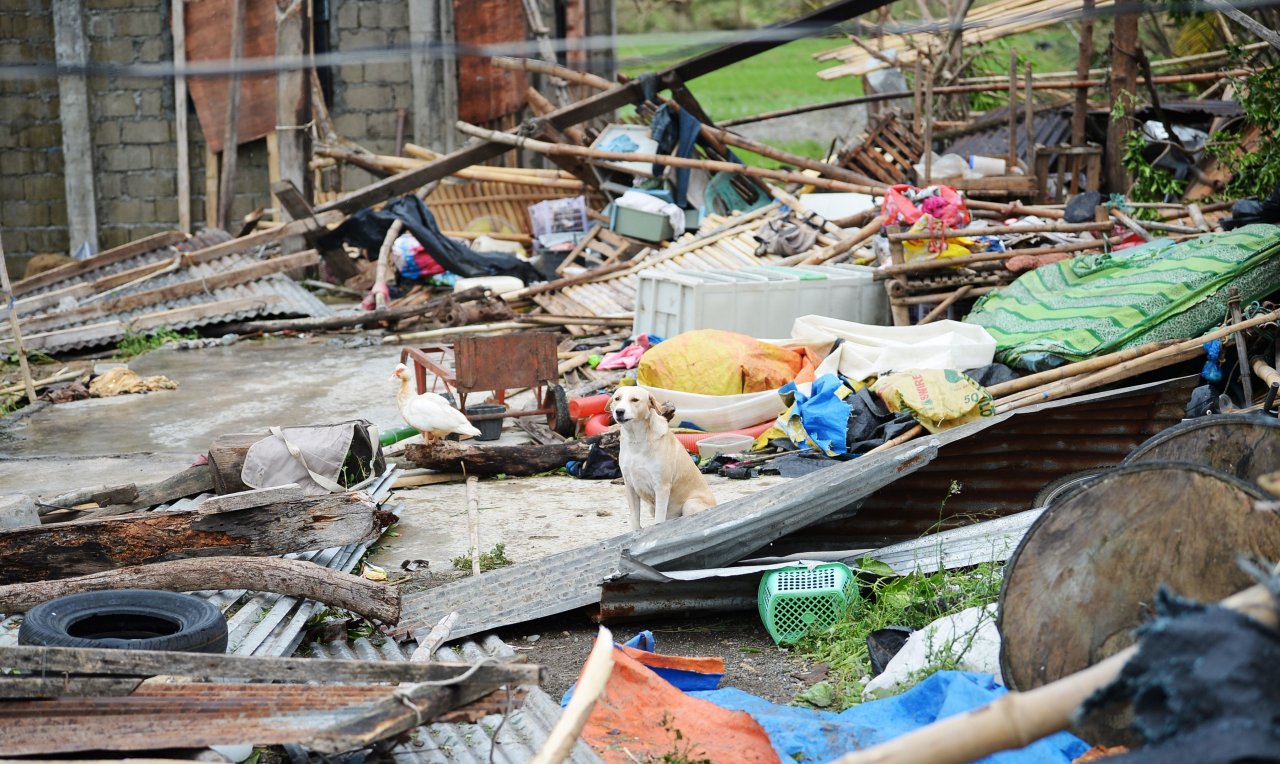 More than 3 million flee storm