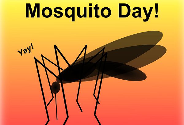 Mosquito Day should push us to act