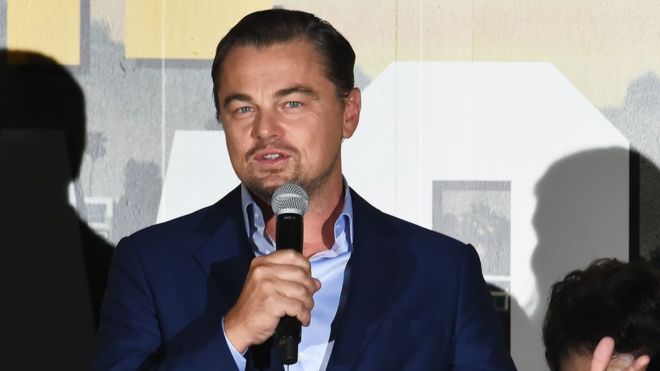 Amazon fires: Leonardo DiCaprio gives $5m for rainforest