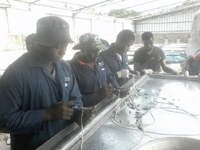 Ministry begins mass immunisation of tilapia farms