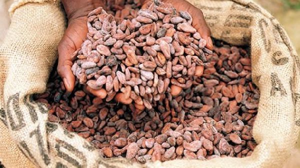 Agric can be game changer for AfCFTA