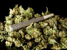 Prisons Officer arrested for allegedly possessing Indian hemp