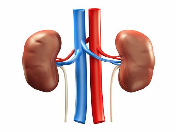 Be ware of 'fake' remedies for kidney disease - Specialist