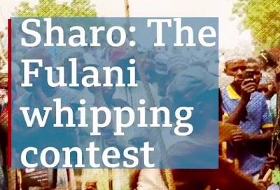 VIDEO: How a Fulani man landed 3 wives through a whipping contest