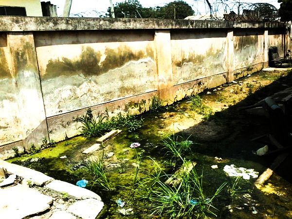 Part of the precincts of Circuit Court B is water logged leading to the growth of algae giving off a pungent smell