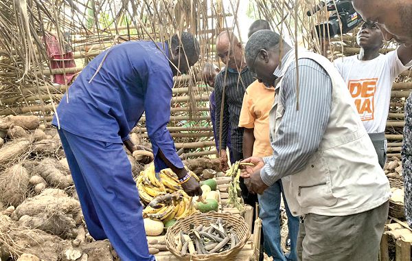 Prof. Kwabena Frimpong-Boateng (right), the Minister of Environment, Science, Technology and Innovation, in the company of other officials, inspecting some farm produce during the visit to the Kristo Asafo’s innovation hub at Gomoa Odambo in the Central Region