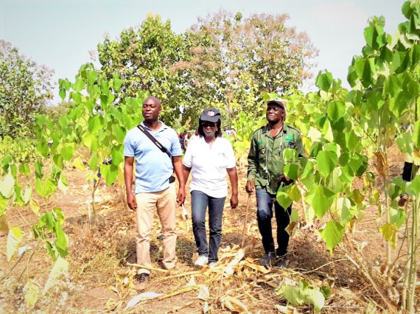 Mr Hugh Brown, (left) and Dr Ebenezer Djagbletey (right), Brong Ahafo Regional Manager of the Forest Services Division inspecting the afforestation project in the Kintampo Forest. With them is Ms Joyce Kwafo, Public Relations Manager of the Forestry Commission.