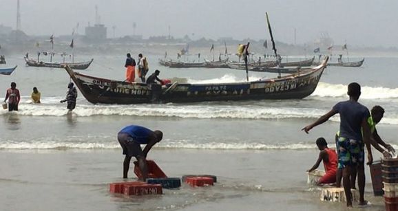 To save fish stocks, Ghana must enshrine transparency in law
