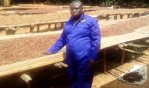 Mr Charles Gyamfi drying his produce on raised bamboo mats using natural rays of the sun