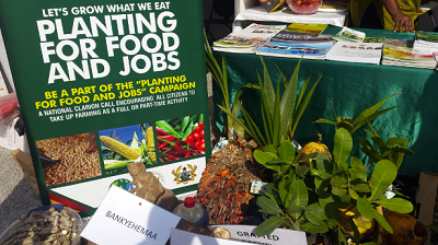 Planting for Food and Jobs: Agric Ministry bans two fertilizer suppliers