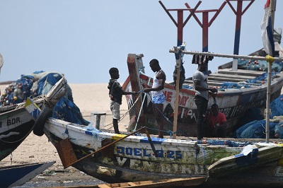 Low fish catch - Sellers turn to cold stores