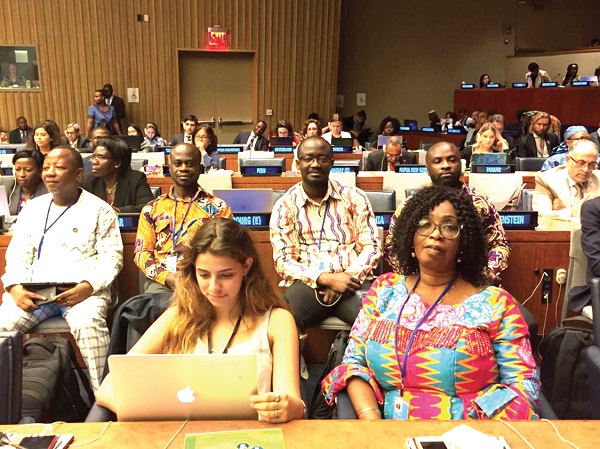  A section of  participants in the 2019 High Level Political Forum (HLPF) at the United Nations 