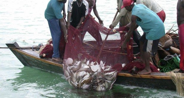 Take stringent measures to restore fishery stocks - Fishermen to govt
