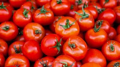 Tema GRA probes missing tomato containers