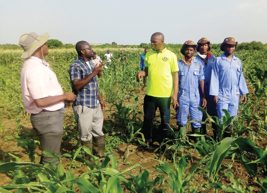 Mr Francis Osei Sarfo (2nd left), the Dawhenya Farm Manager, explaining some difficulties to Mr Mustapha Ussif (3rd left), the Executive Director, National Service Scheme. Others in the picture include Mr Oxford Osei Bonsu (left), the Project Manager, and some workers on the farm.