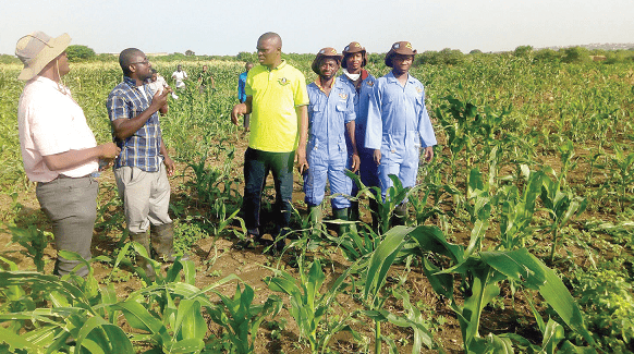 Mr Francis Osei Sarfo (2nd left), Farm Manager,  NSS Dawhenya maize farm, explaining a point to Mr Mustapha Usif (3rd left), as Mr Oxford Osei Bonsu (left), Project Manager, and some workers look on. Picture: NII MARTEY M. BOTCHWAY