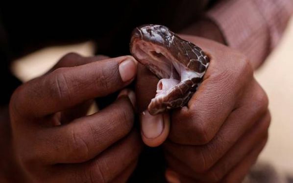 Death of bridegroom throws Assin Juaso into state of shock